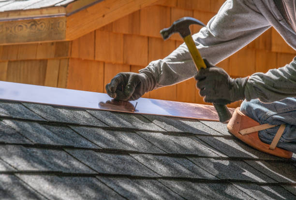 Best Roof Maintenance and Cleaning  in Canon, GA