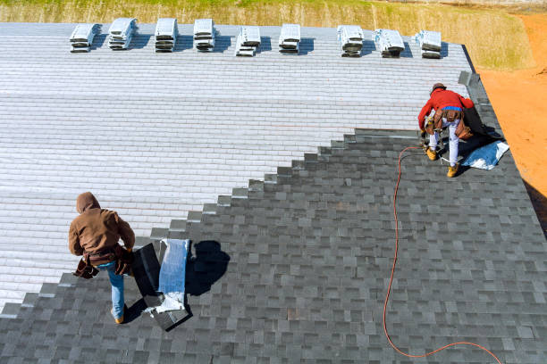 Best Roof Installation  in Canon, GA