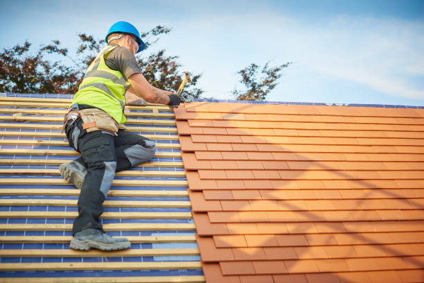 Best Cold Roofs  in Canon, GA